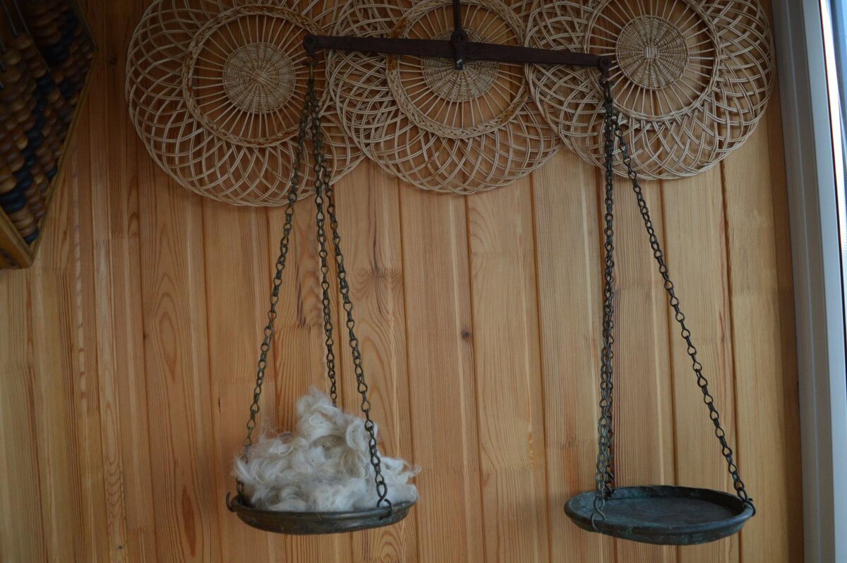 Весы. Фото И.Вахтеровой.