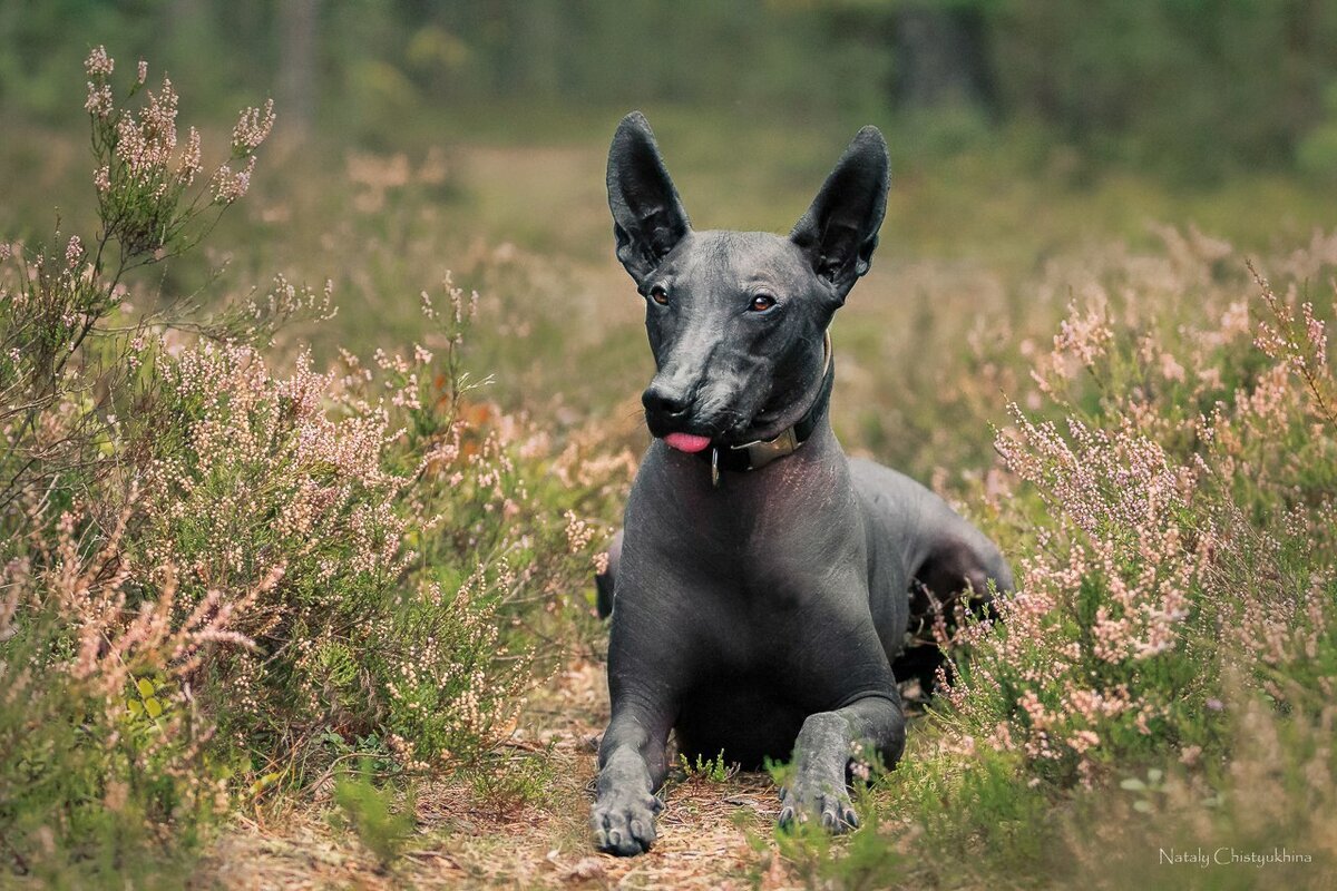 фото: открытые источники