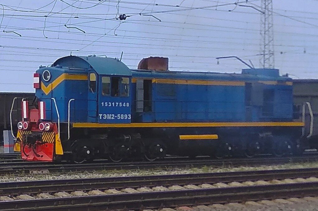 ТЭМ2-5893 на станции Ленинск-Кузнецкий 1 (04.08.19)