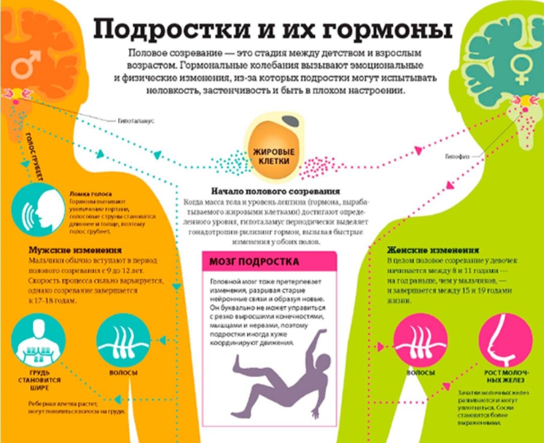 Почему подросткам трудно жить. | Всеволод Панченко | Дзен