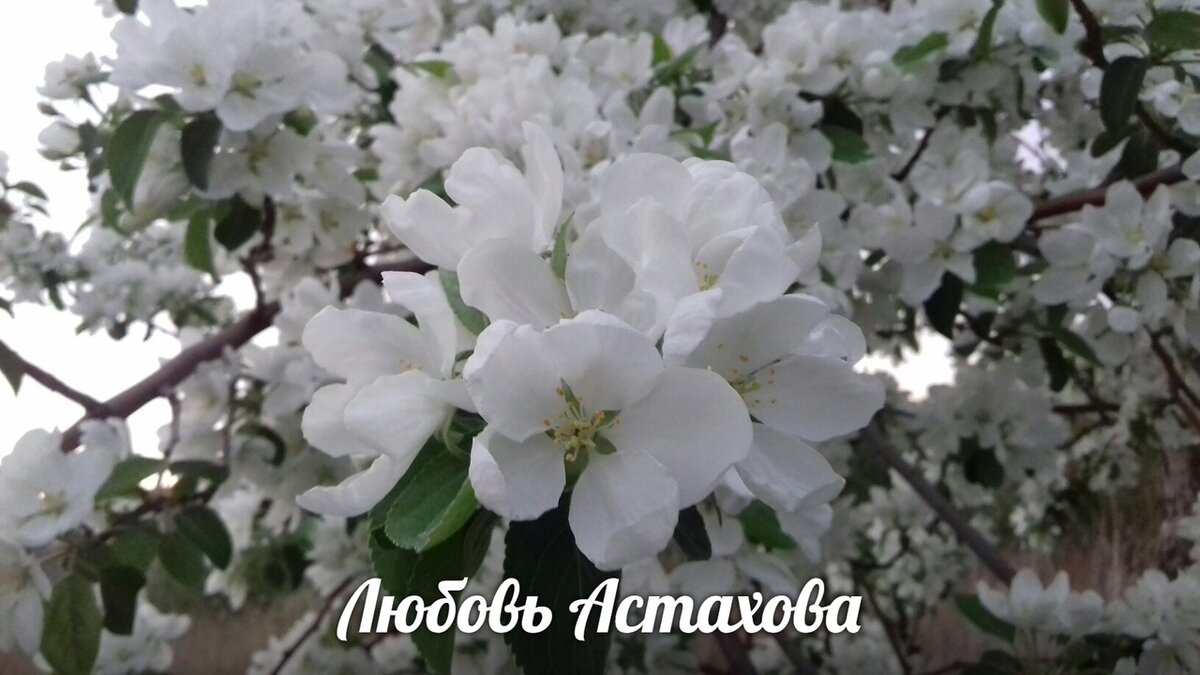 Недавно прочла на одном канале запись, что для того, чтобы что-то стало более заметным, всему остальному нужно стать серой массой. Категорически с этим не согласна! Мы все прекрасны в своей индивидуальности. Поэтому, для того чтобы проявиться, достаточно просто быть. Быть центром в своём собственном пространстве, при этом не подавляя окружающих , а наоборот, помогая им расцвести