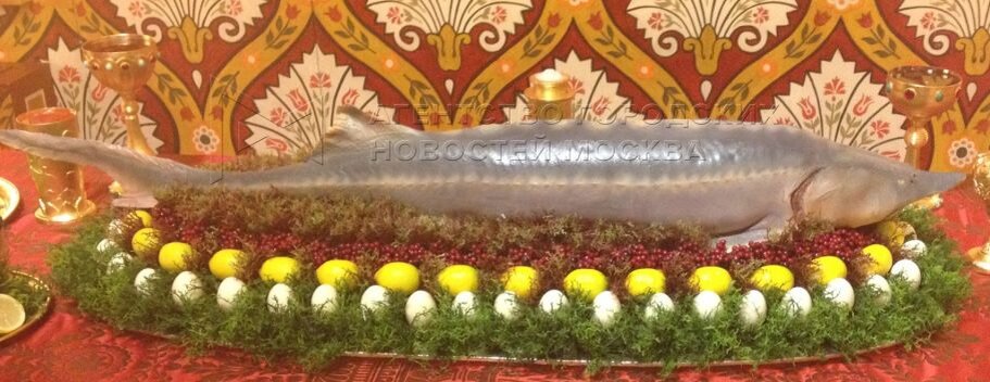 Белорыбица