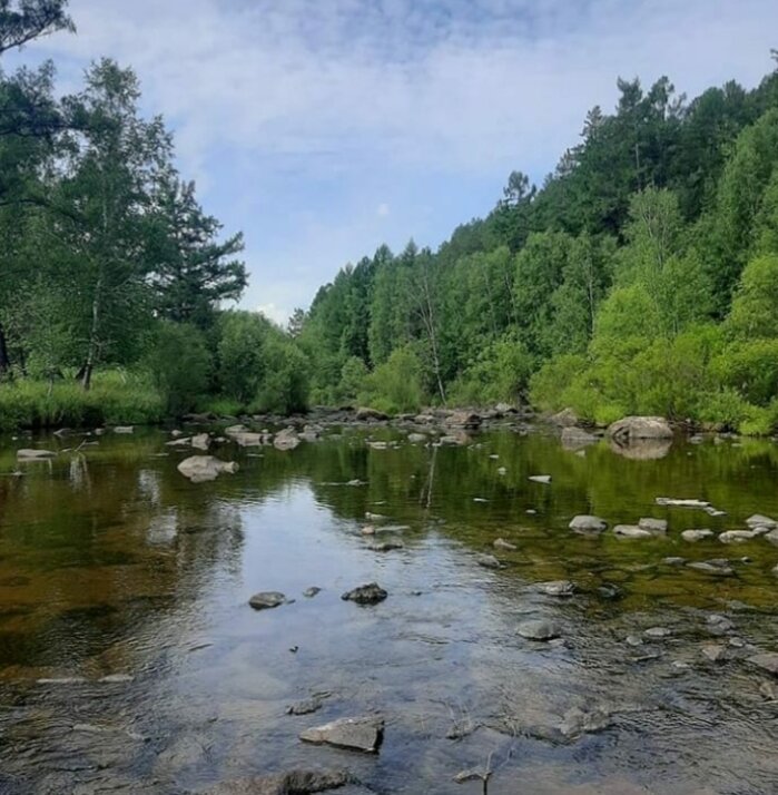 Фото автора, июль 2020