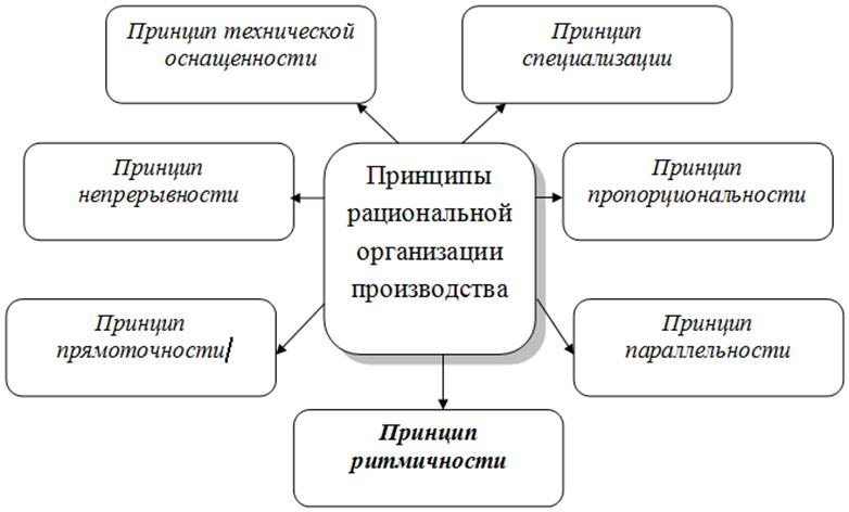 Основные принципы предприятий. Принципы рациональной организации производственного процесса. Основные принципы рациональной организации производства. Основным принципам организации производственного процесса. Общие принципы рациональной организации производственного процесса.