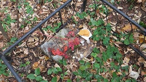 Фрагмент ограды на "Матвеевской" версионной могиле.