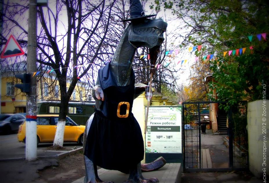 Фото: материалы пресс-служб