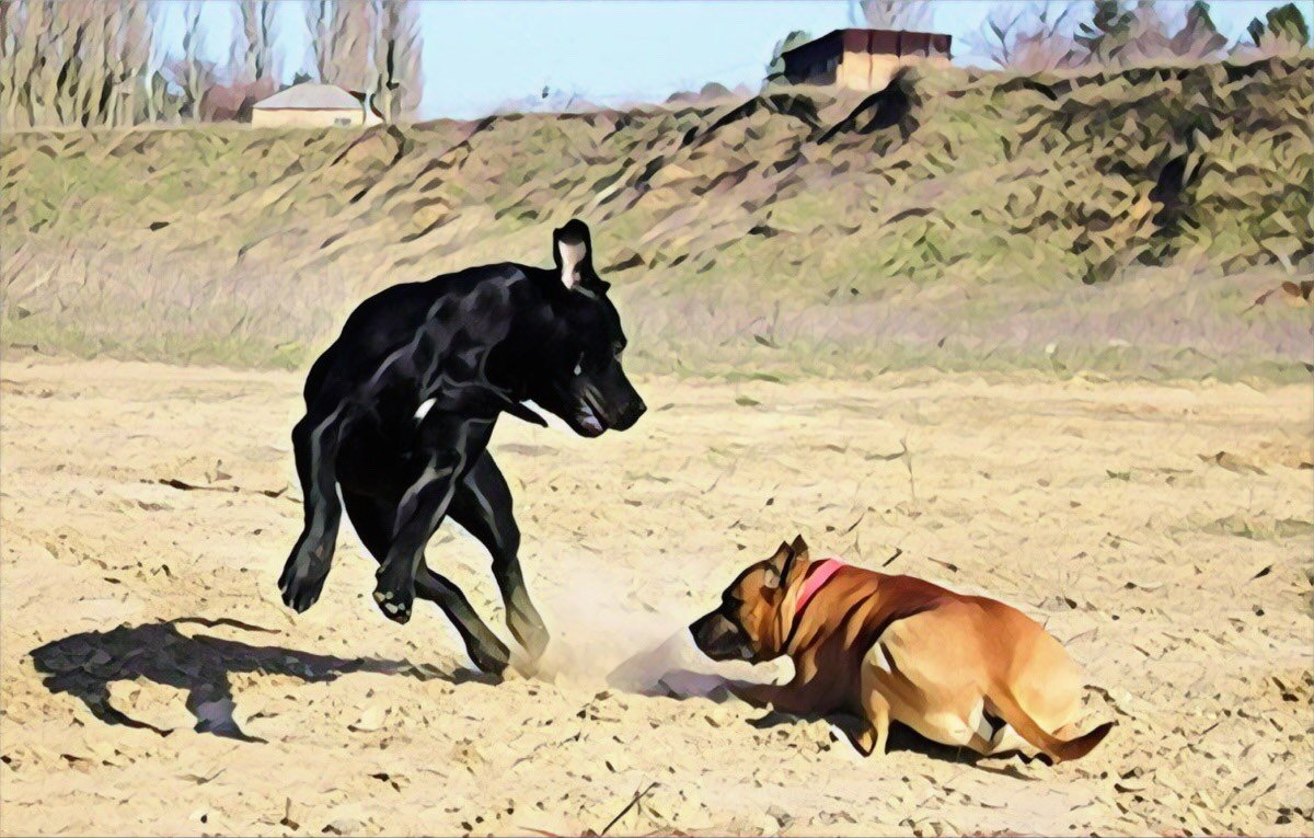 Фото из личного архива