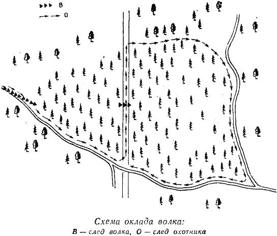 Взято из свободного источника. 