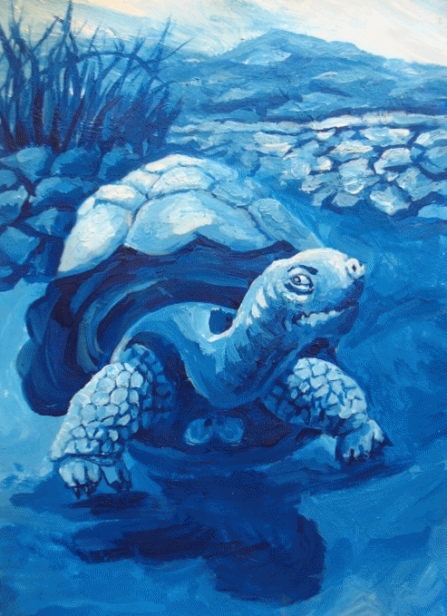 черепаха танцует