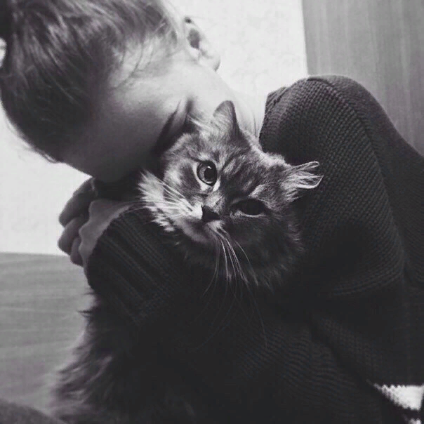 фото Яндекс Диск