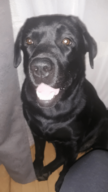 Вот какой я красивый