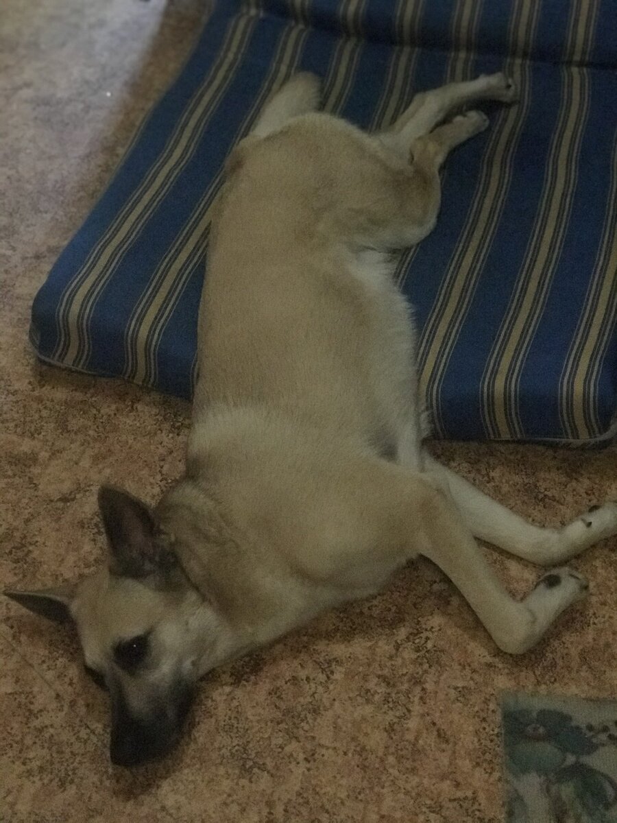 Активация мысли 