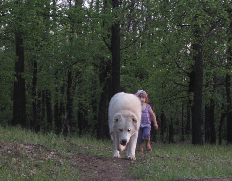 - Побегаем!