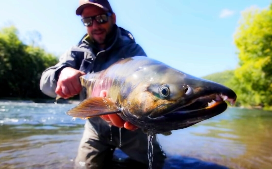 Против балберов!