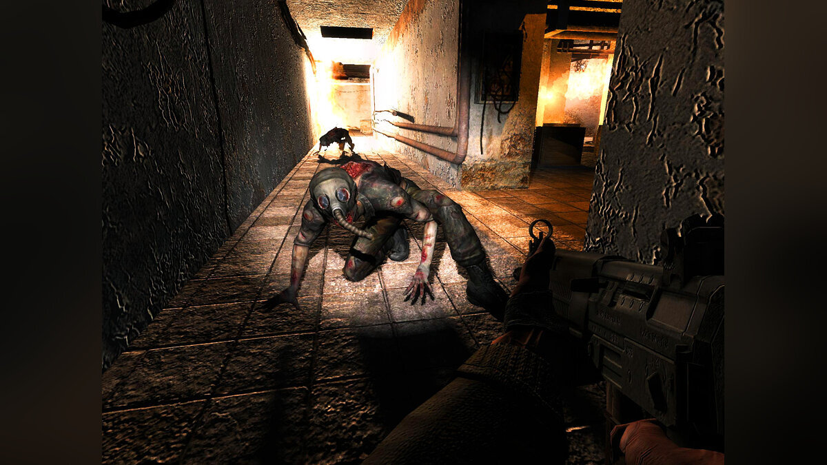 Снорк — один из мутантов, встречаемых в игре. Некогда они были людьми...