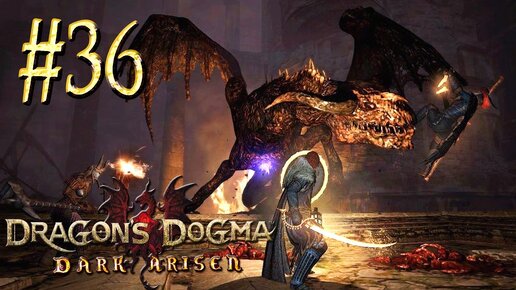 Dragon's Dogma Dark Arisen прохождение. Dragon's Dogma Dark Arisen лавровый лист.