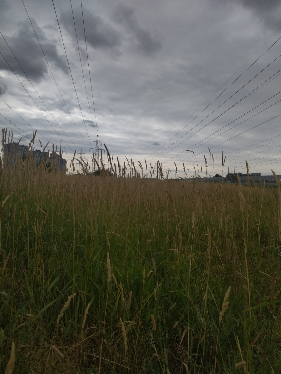 Ну красота же