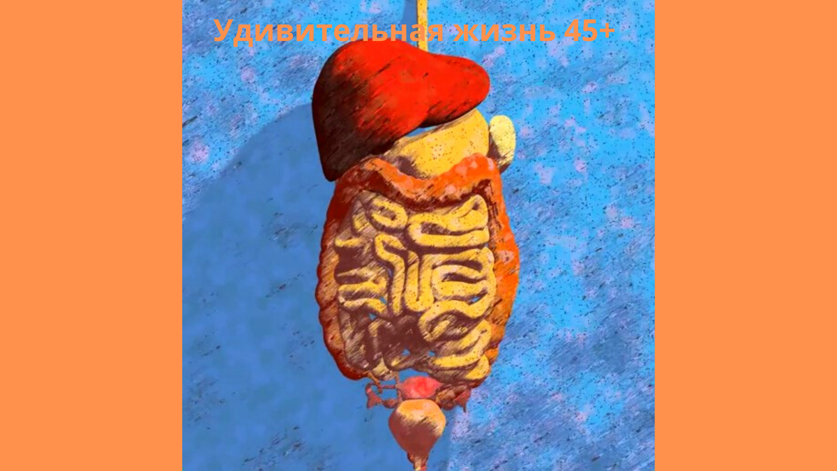 Фотография взята из открытых источников