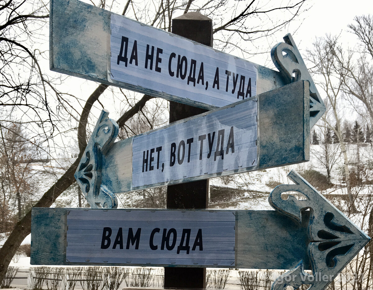 Каким путём пойти? (фото автора)
