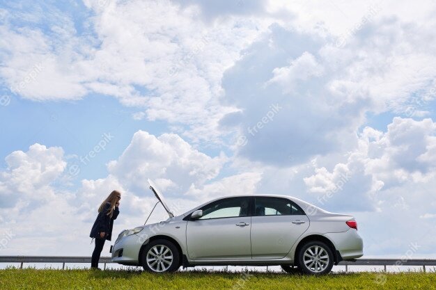 Фото Александра Зубкова