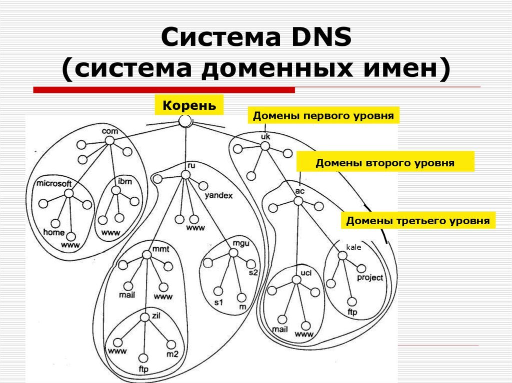 Опишите структуру доменной системы имен. Доменная система имен. DNS система доменных имен. Доменная система имен схема. Система доменов ДНС.