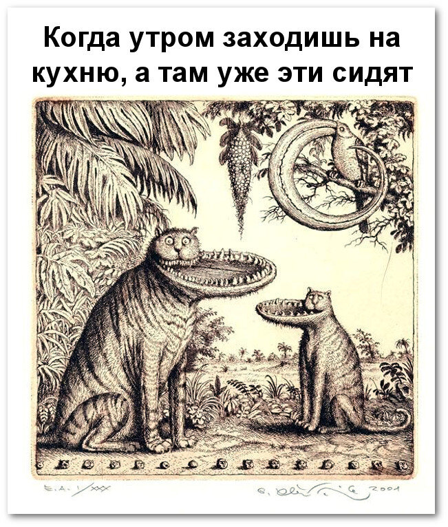 Когда утром заходишь на кухню а там уже эти сидят картинки
