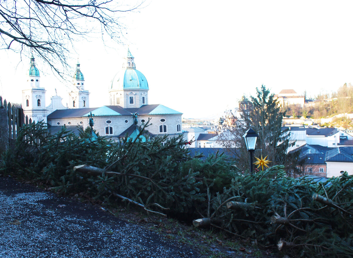 Я не знаю, почему, но после Нового года Зульцбург был покрыт "толстым слоем" елок, выброшенных из многих домов. Мне их было жалко. Фото автора (чуть-чуть засвеченное, но отображающее мое недоумение)