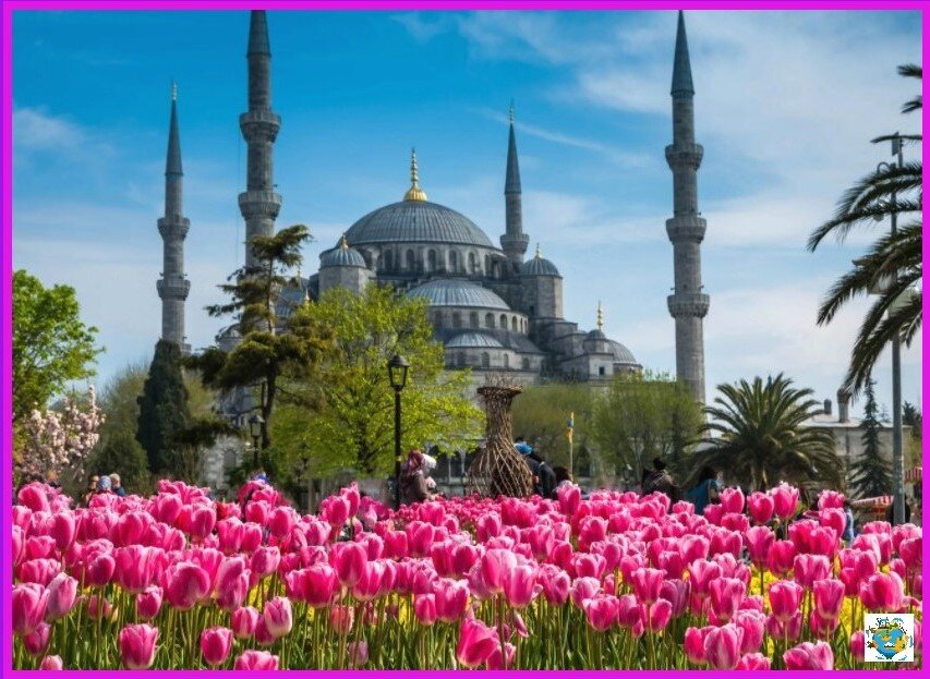 Турция в апреле утопает в красках тюльпанов