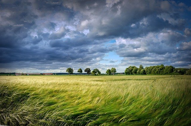  Изображение Albrecht Fietz с сайта Pixabay 