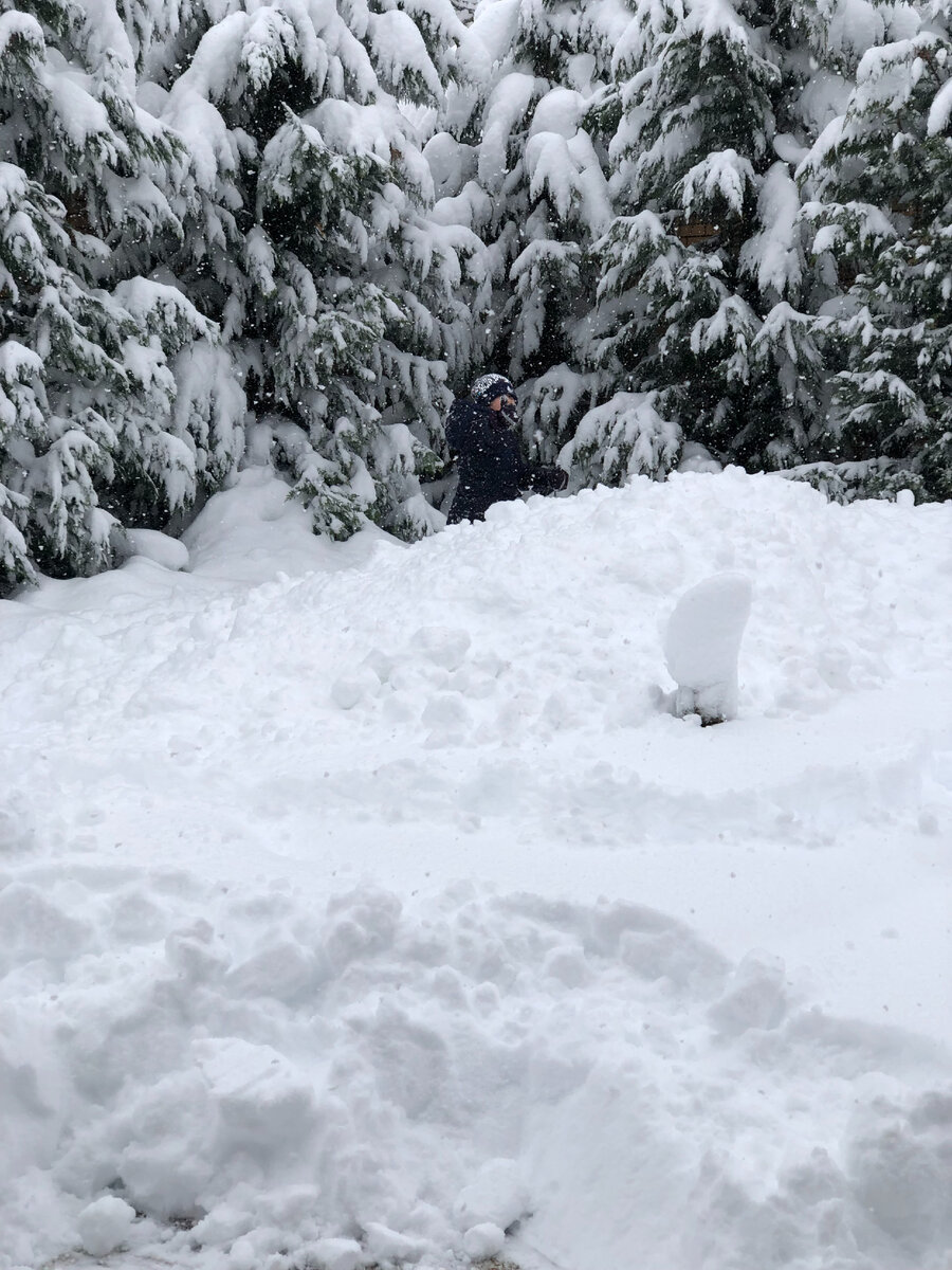 Фото из личного архива. Двор просто не видно от количества снега. 