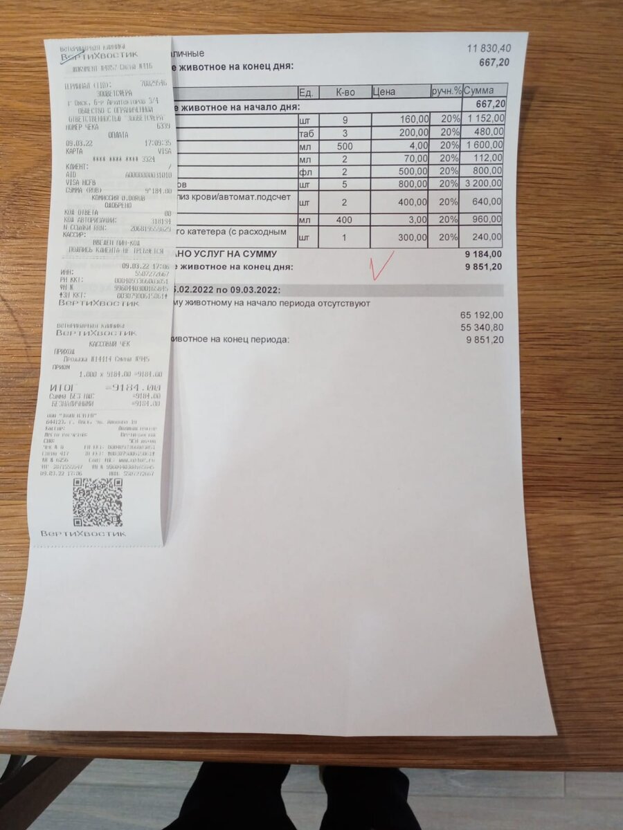 Тел для сбора помощи +7 903 927-81-90 Маргарита, сбербанк