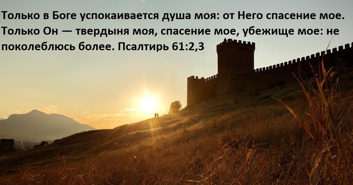 Открыв Библию на самой середине, мы найдем книгу Псалтирь, которая содержит в себе 150 псалмов. Большинство из них являются свидетельствами мужей Божьих, рассказывающих о своих личных переживаниях.-2