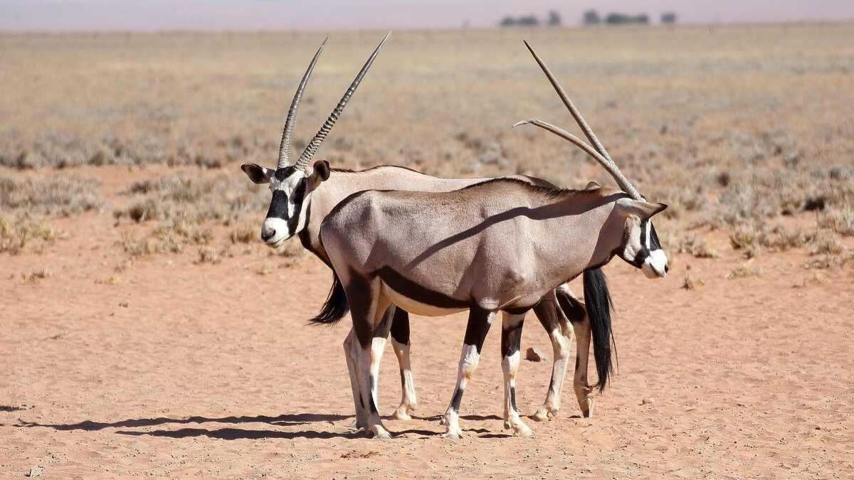 Photo by Simon Hurry on Unsplash