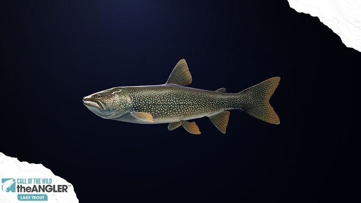 Гайд по всем видам рыбы в Call of the Wild: The Angler.