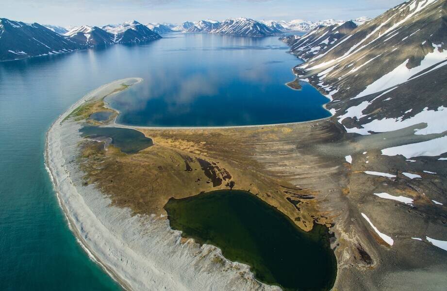    Фото: tildacdn.com