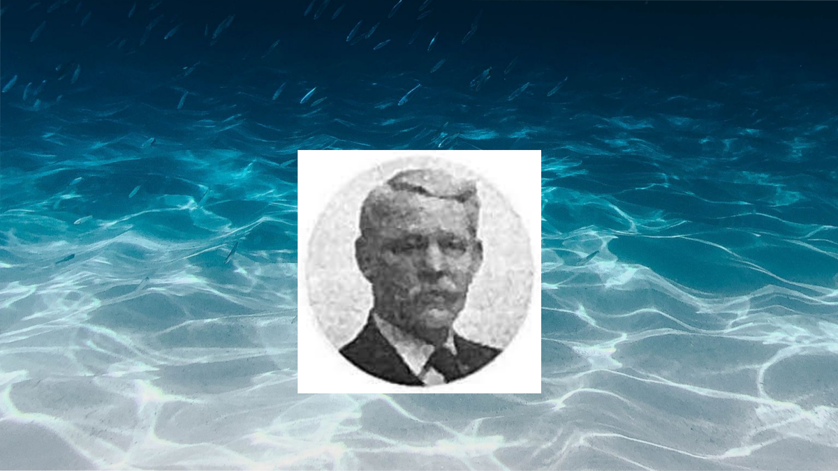 Тот самый Викофф Ван Дер Хоф. Источник: https://www.encyclopedia-titanica.org/titanic-victim/wyckoff-van-der-hoef.html