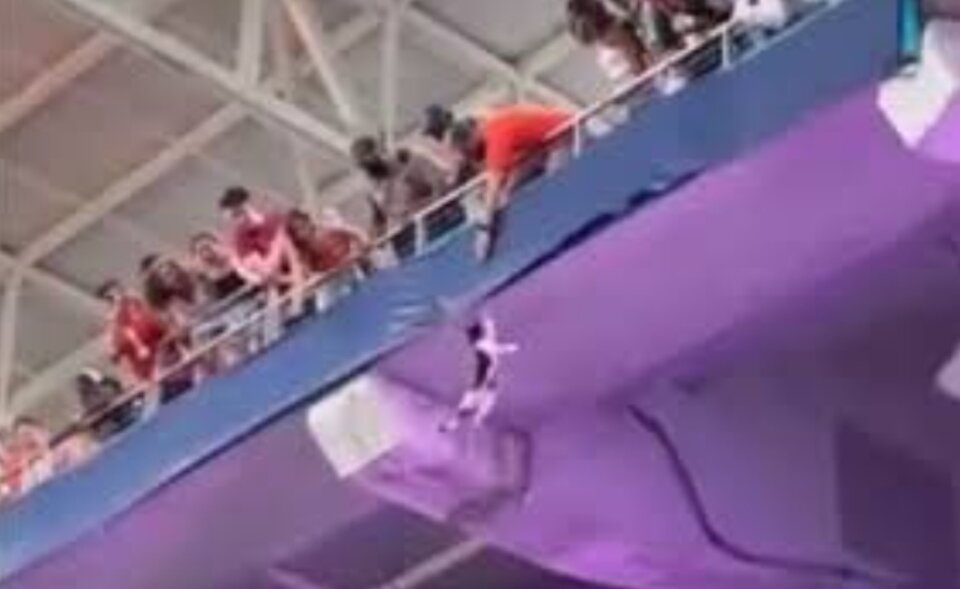 Сверху стоящие болельщики не смогли подхватить животное