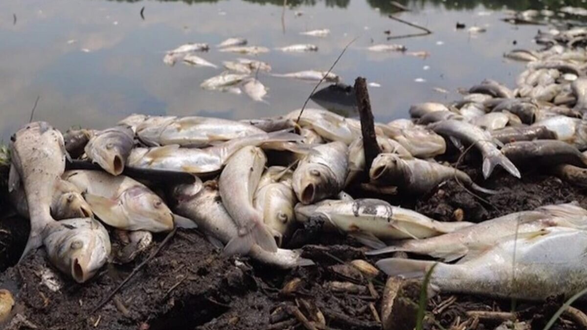    Виталий Карнаух/Комсомольская правда