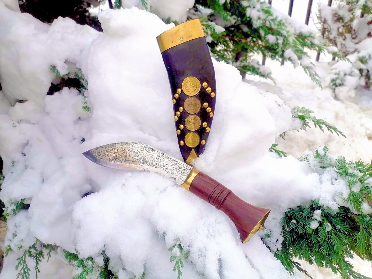 Фото принадлежит автору канала