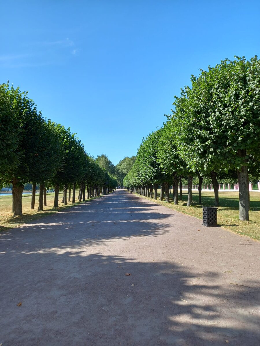 Аллея в Кусово. Фото автора.