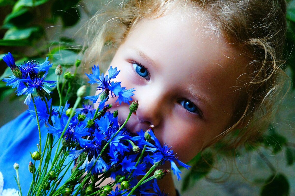 Фотография использована в иллюстративных целях и взята из всеобщего доступа Яндекс-фото