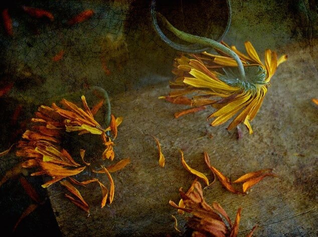 Художник Игорь Токарев