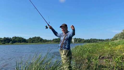 Ловим леща на реке Волхов в Новгородской области. Рыбалка с берега на фидер и в прилове сопа и густера.