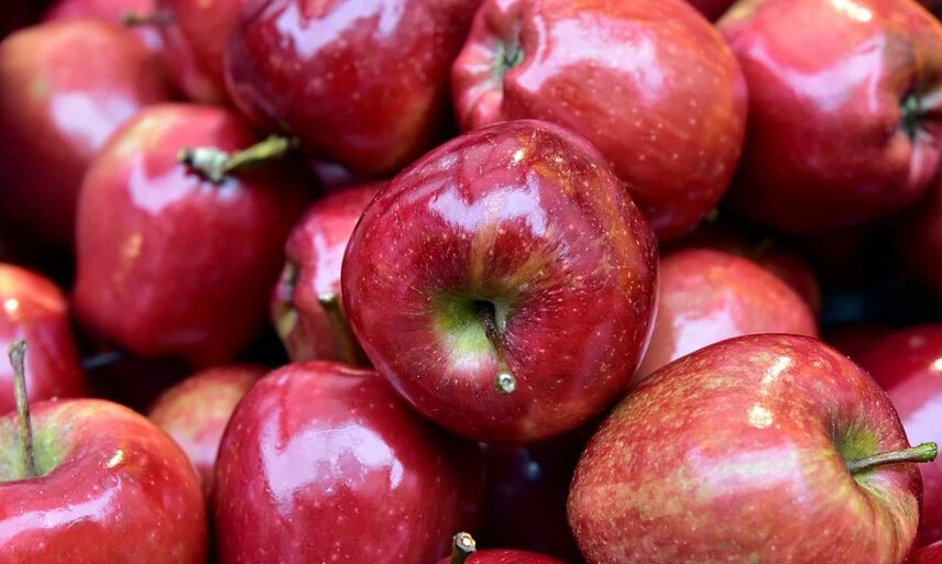    фото: iStockphoto