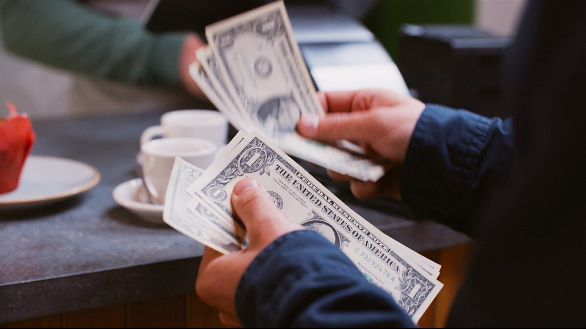 Из-за доллара самая эффективная птицефабрика России останавливает свою ...