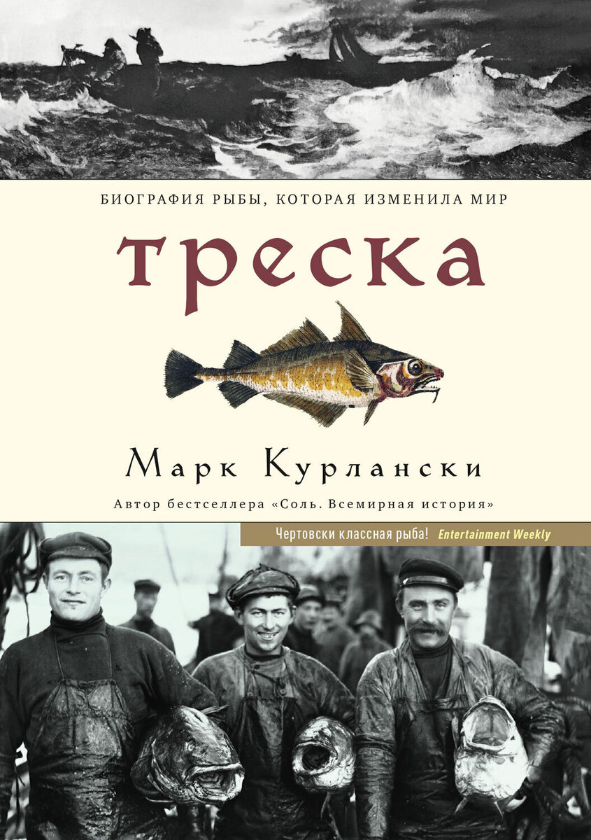 С упоением о вкусах. 5 книжных новинок о кулинарии | Х5 Клуб — вся выгода  здесь! | Дзен