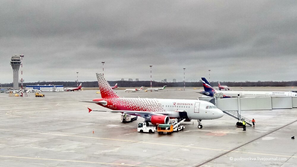 Камеры санкт петербурга аэропорт. Rp341 пулково. Аэропорт пулково видео. Пулково терминал 1. Фото санкт-петербурга аэропорта зимнее.