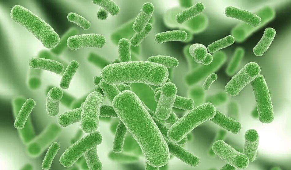            Инфекционная болезнь как клиническое проявление инфекции отличается от других соматических заболеваний поражающих человека.