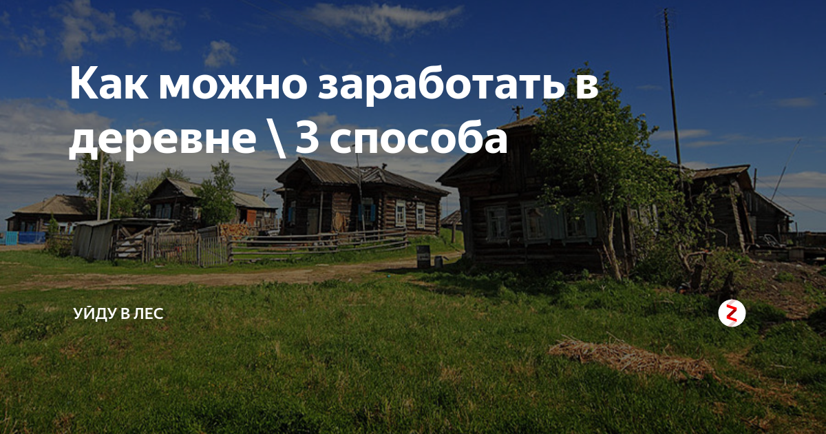 Чем можно зарабатывать в деревне. Заработок в деревне. Как можно заработать в деревне. Деньги в деревне. Как можно заработать в деревне летом.