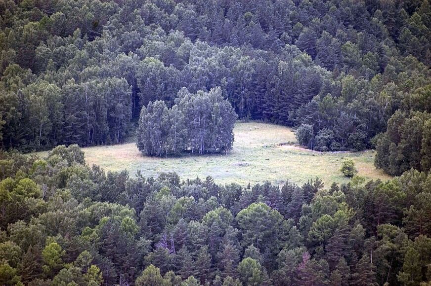 Чёртова поляна (иллюстрация: http://www.nat-geo.ru)